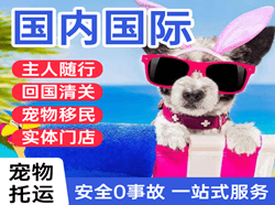 朔州滋润机场快运国际宠物托运 【国